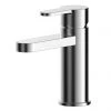 Nuie Arvan Mini Mono Basin Mixer with Push Button Waste - ARV315